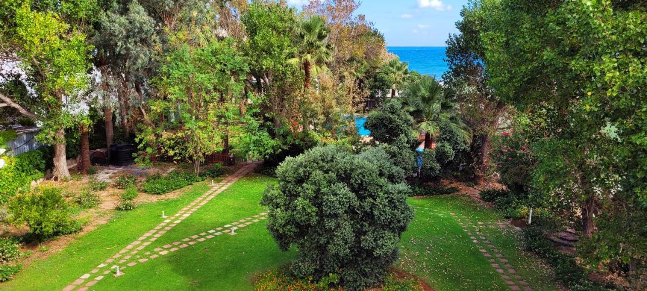 Marita'S Apartments Chania  Екстер'єр фото